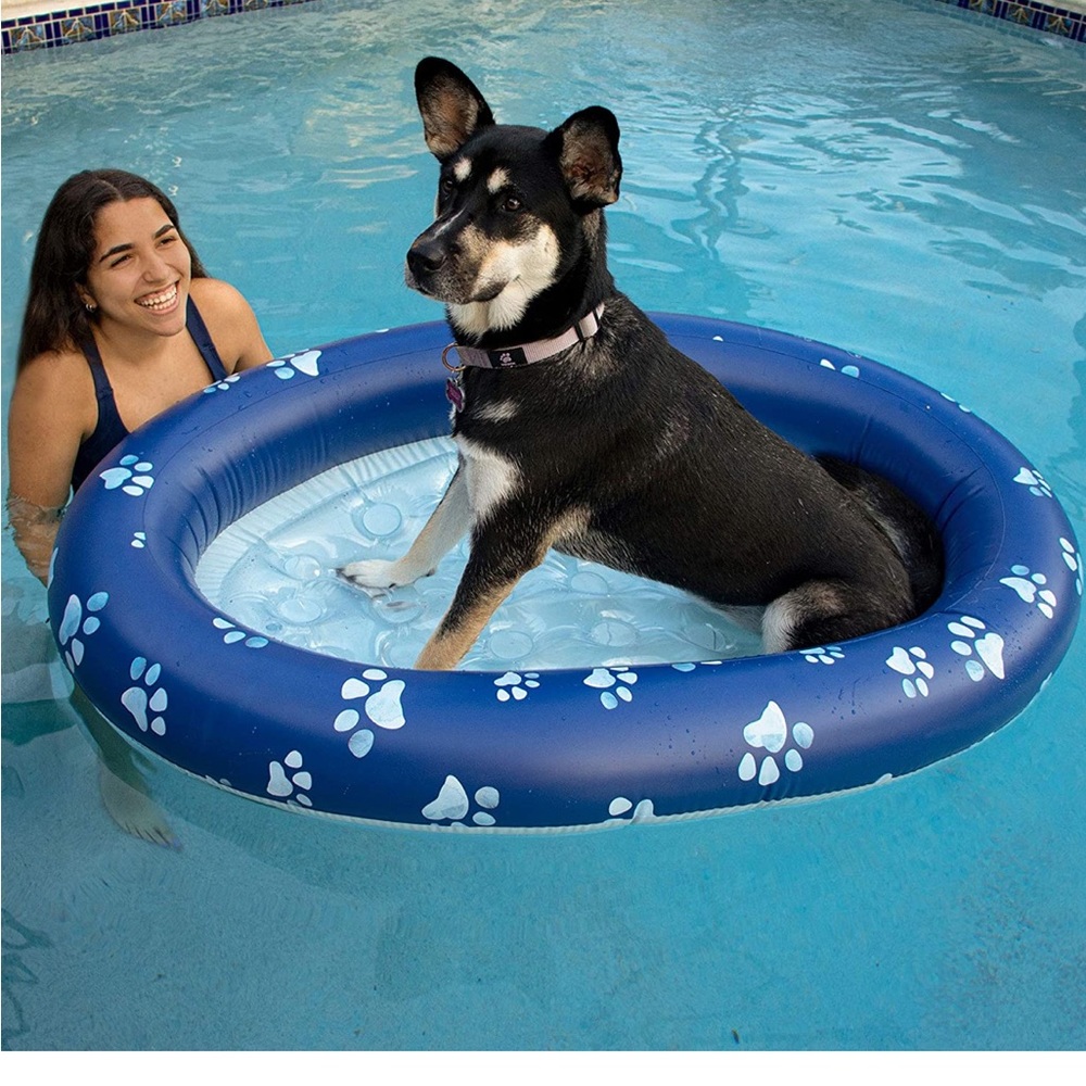 Pool Candy Inflatable Pet Float. NIB!!